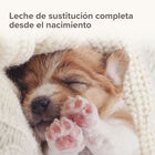 Beaphar Lactol Leche en Polvo para cachorros, , large image number null
